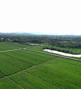 宜興西渚鎮(zhèn)網站建設_宜興市西渚鎮(zhèn)