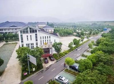 宜興西渚鎮(zhèn)網(wǎng)站建設(shè)揭秘與高塍鎮(zhèn)官網(wǎng)展望（2025年01月焦點(diǎn)）